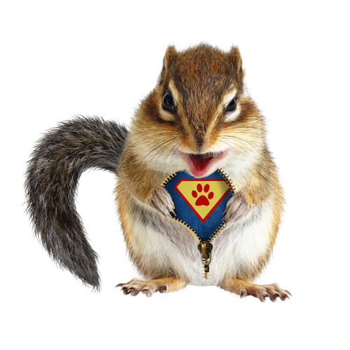 Seo Hero Spip